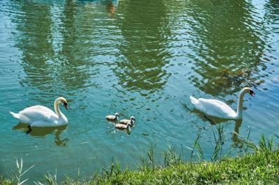 Прикрепленное изображение: Image00003.jpg